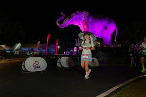 BIB: 
                            <button type="button" onclick="openModal(26542794)" class="btn btn-primary btn-sm float-right btn-popup" data-toggle="modal" data-target=".modal-high-quality">
                        <i class="fas fa-shopping-cart"></i> Add to Cart
                    </button>
                                            <button type="button" onclick="isThisMe(26542794, true)" class="btn btn-success btn-sm float-right btn-popup btn-isme hidden" data-toggle="tooltip" data-placement="bottom" title="นี่คือรูปของคุณใช่ไหม คลิกที่นี่เพื่อเอาเข้าอัลบั้ม">
                        <i class="fas fa-plus"></i> Add to album
                    </button>
                    <button type="button" onclick="isThisMe(26542794, false)" class="btn btn-warning btn-sm float-right btn-popup btn-isnotme hidden">
                        <i class="fas fa-ban"></i> Remove from album
                    </button>